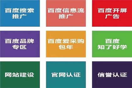 百度推广平台实战技巧：案例解析，提升广告效果